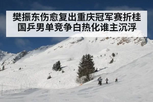 樊振东伤愈复出重庆冠军赛折桂国乒男单竞争白热化谁主沉浮